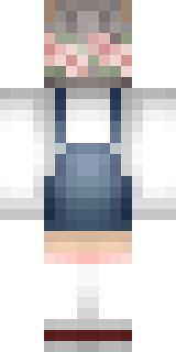 Задняя часть скина игрока _Milky_