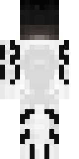 Задняя часть скина игрока _ObLoChCo_