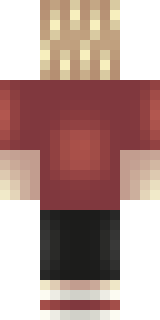 Задняя часть скина игрока _ShadowRaa_