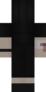 Задняя часть скина игрока _ShemS_