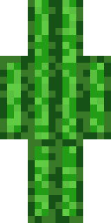 Задняя часть скина игрока _Shonk_