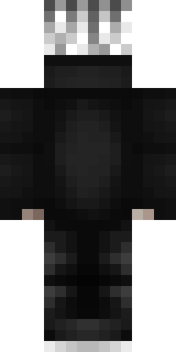 Задняя часть скина игрока _StaampyCat_