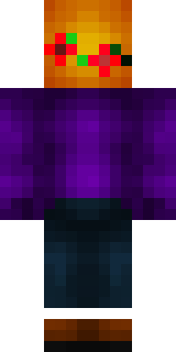 Задняя часть скина игрока _Taylor_