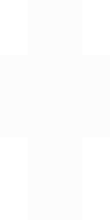 Задняя часть скина игрока _TheTigerPvP_eZ