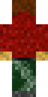 Задняя часть скина игрока _Zafr_