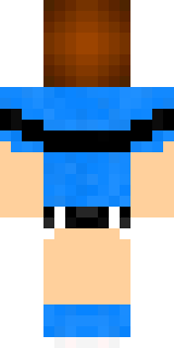 Задняя часть скина игрока __KatyCat__