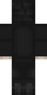 Задняя часть скина игрока __Ranner__