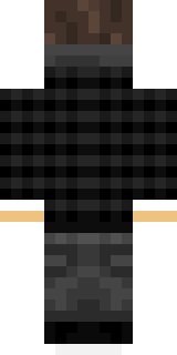 Задняя часть скина игрока _dampness_