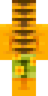 Задняя часть скина игрока _danchk_