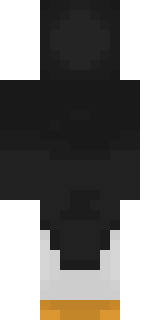 Задняя часть скина игрока _shemfi