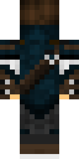 Задняя часть скина игрока afon98