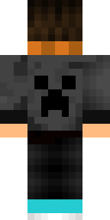 Задняя часть скина игрока aliaser