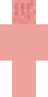 Задняя часть скина игрока amora