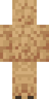 Задняя часть скина игрока anafiron228