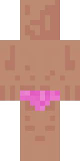 Задняя часть скина игрока antomolog