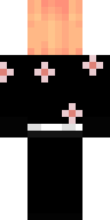 Задняя часть скина игрока askiess