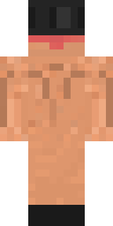 Задняя часть скина игрока bagtub