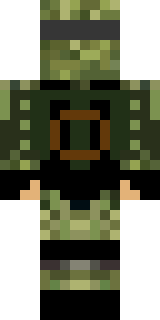 Задняя часть скина игрока bil_edvard