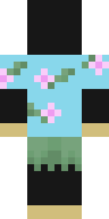 Задняя часть скина игрока candan