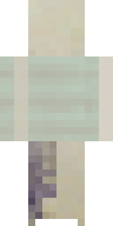 Задняя часть скина игрока caust