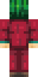 Задняя часть скина игрока cluckyy