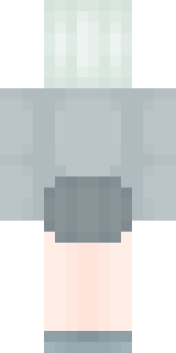 Задняя часть скина игрока connecto