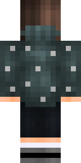 Задняя часть скина игрока cotynok