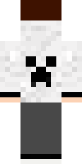 Задняя часть скина игрока danila