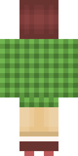 Задняя часть скина игрока darkcreator619