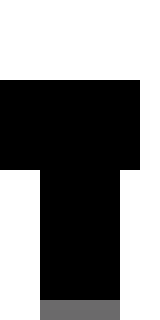 Задняя часть скина игрока dimon_pokebol