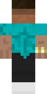 Задняя часть скина игрока dirtyteddy