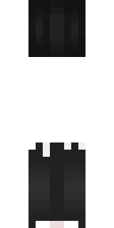 Задняя часть скина игрока disa