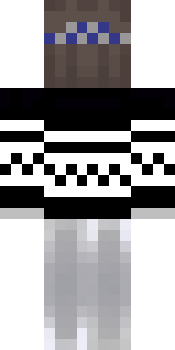 Задняя часть скина игрока djwhite02