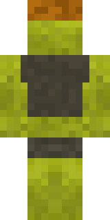 Задняя часть скина игрока elajo_