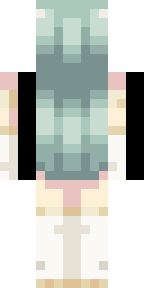 Задняя часть скина игрока evhard