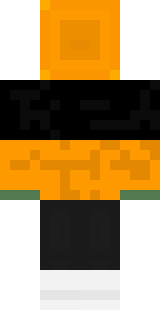 Задняя часть скина игрока evolineLite