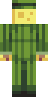 Задняя часть скина игрока fanikyl