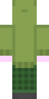 Задняя часть скина игрока fenikc2517