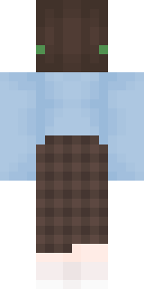 Задняя часть скина игрока flaffy456