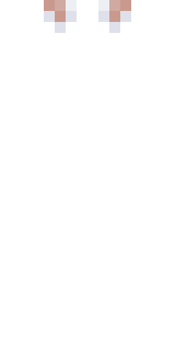 Задняя часть скина игрока gaypoping