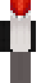 Задняя часть скина игрока gottheit