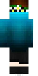 Задняя часть скина игрока h9r1z0n