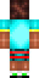 Задняя часть скина игрока haip228