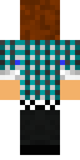 Задняя часть скина игрока hgmoneta