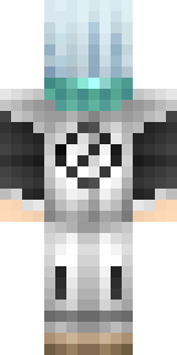 Задняя часть скина игрока hitsugayaa