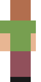 Задняя часть скина игрока homeomorphic