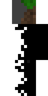 Задняя часть скина игрока juuas