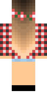 Задняя часть скина игрока karina_cat_pr