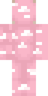 Задняя часть скина игрока kate_pusy