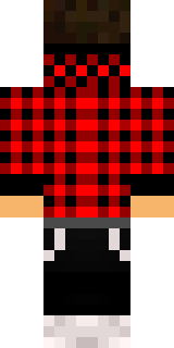 Задняя часть скина игрока kol65